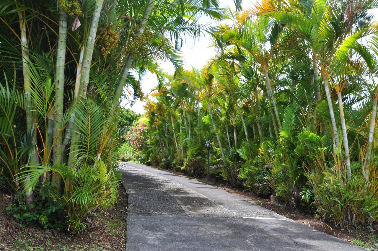 Villa Jeanisette Trois-Rivières Rum bild